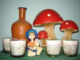 DSC00017.JPG