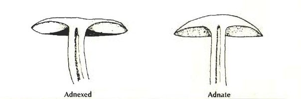 c6.jpg