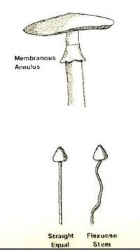c11.jpg
