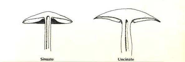 c14.jpg