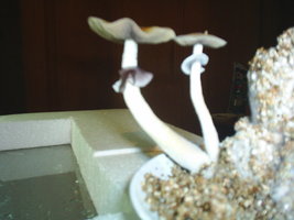 S3010029.JPG