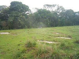 S3010023.JPG