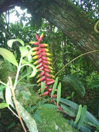 S3010029.JPG