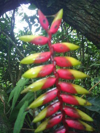 S3010031.JPG