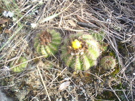 S3010043.JPG