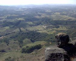 DSC00205.JPG