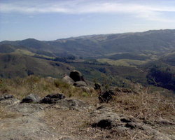 DSC00204.JPG