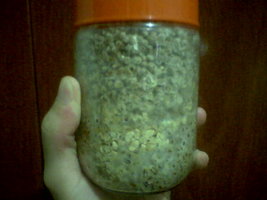 foto003.jpg