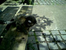 foto003.jpg