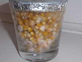 copo2_3.JPG