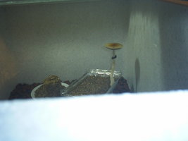 S3010014.JPG