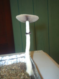 S3010016.JPG