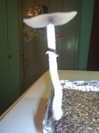 S3010017.JPG