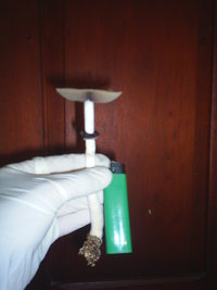 S3010019.JPG