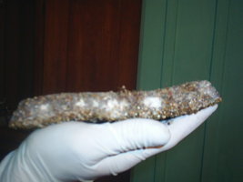S3010023.JPG