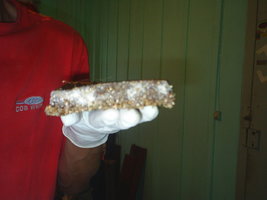 S3010025.JPG