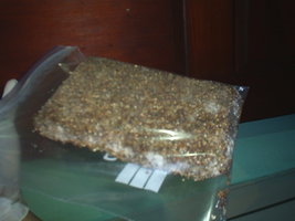 S3010027.JPG