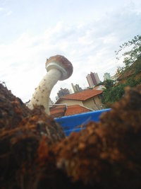 S3010047.JPG