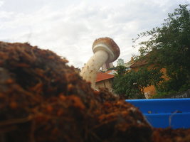 S3010046.JPG