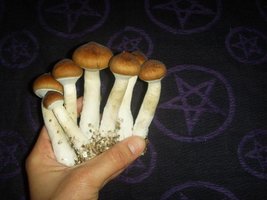 s.JPG