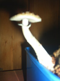 S3010448.JPG