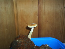 S3010501.JPG