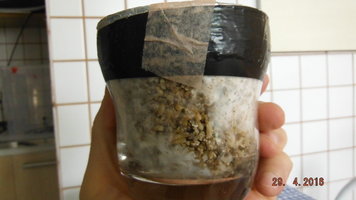 DSCF2228.JPG