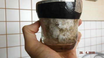 DSCF2229.JPG