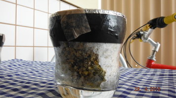 DSCF2230.JPG