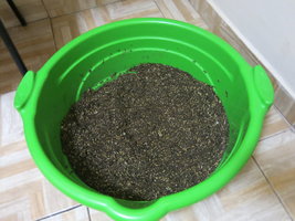 IMG_7636.JPG