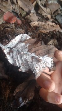 IMG_20160502_164503589.jpg