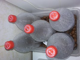 20160504_175658.jpg