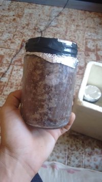 IMG_20160505_080217.jpg