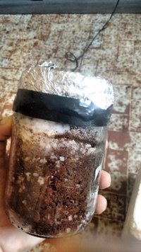IMG_20160505_080310.jpg