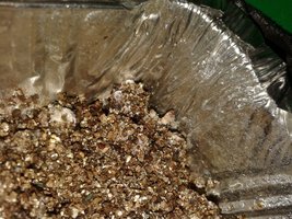 20160506060754 (1).jpg