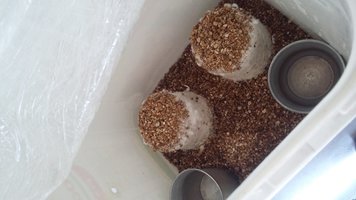 20160506_111927.jpg