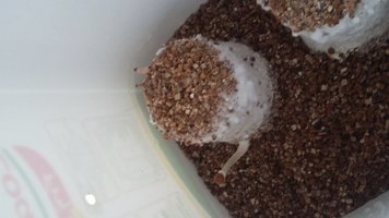 20160508_132613.jpg