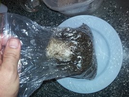 20160506_144656.jpg