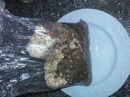 20160506_144820.jpg
