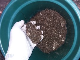 20160506_145059.jpg