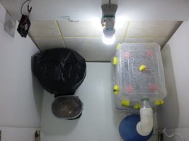 20160506_164123.jpg