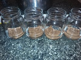 20160506_232842[1].jpg