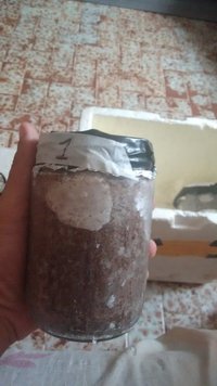 IMG_20160509_075524538.jpg
