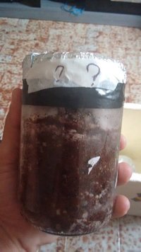 IMG_20160509_075447920.jpg