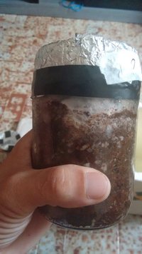 IMG_20160509_075451970.jpg