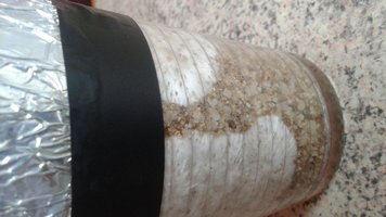 20160508_170039.jpg