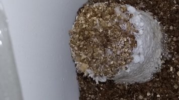 20160510_073911.jpg