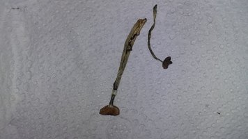 20160510_074841.jpg