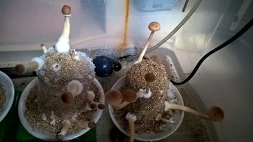 2016-05-10 08.56.14.jpg