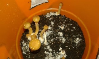 20160511_200058.jpg